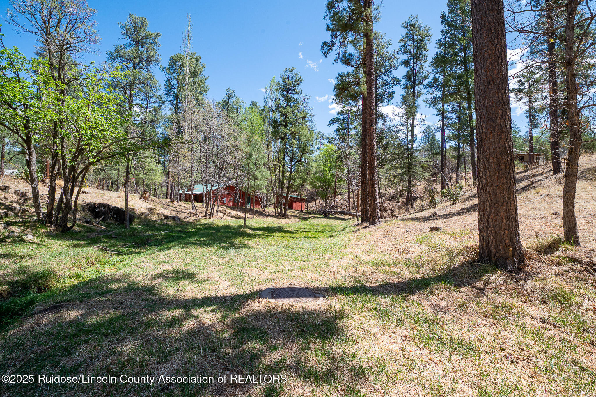 205 Flume Canyon Drive, Ruidoso, New Mexico image 7