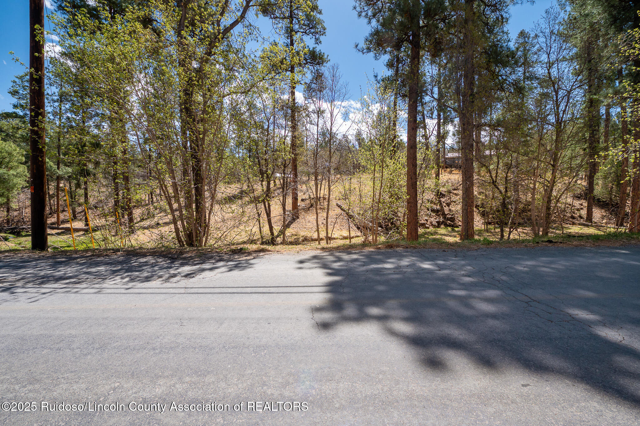 205 Flume Canyon Drive, Ruidoso, New Mexico image 3