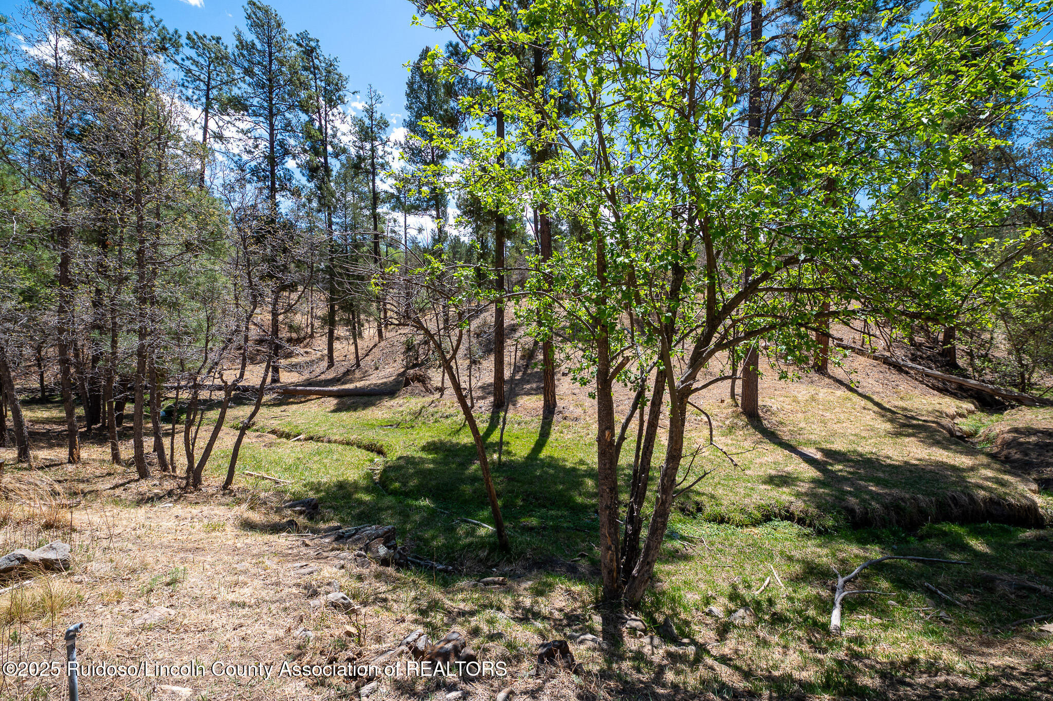 205 Flume Canyon Drive, Ruidoso, New Mexico image 5