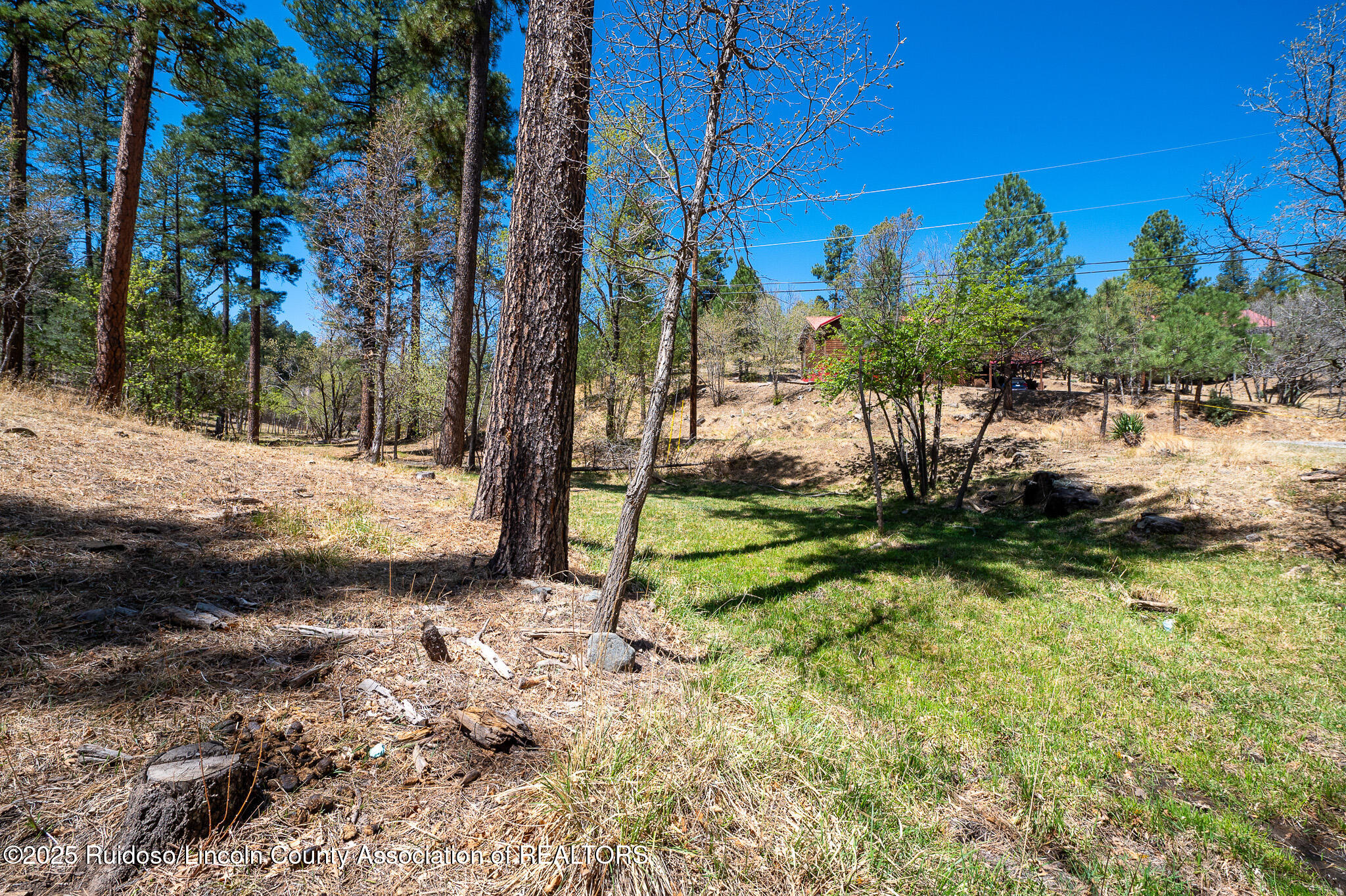 205 Flume Canyon Drive, Ruidoso, New Mexico image 8