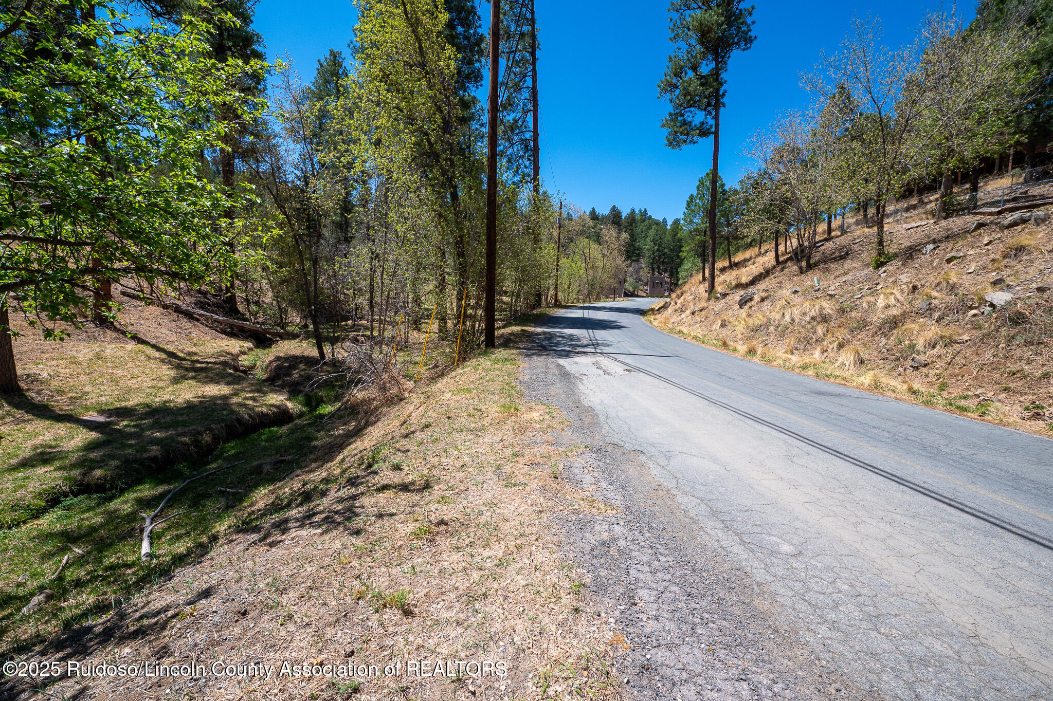 205 Flume Canyon Drive, Ruidoso, New Mexico image 2