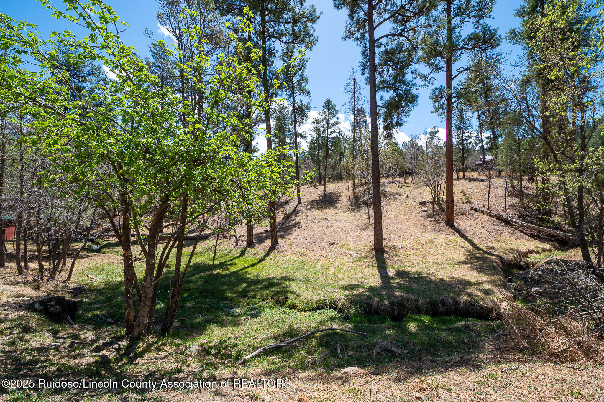 205 Flume Canyon Drive, Ruidoso, New Mexico image 6