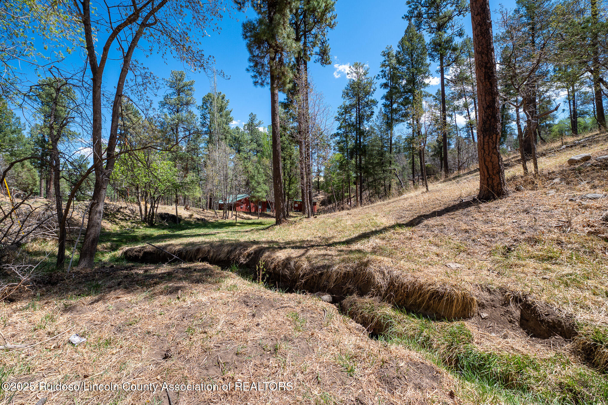 205 Flume Canyon Drive, Ruidoso, New Mexico image 10