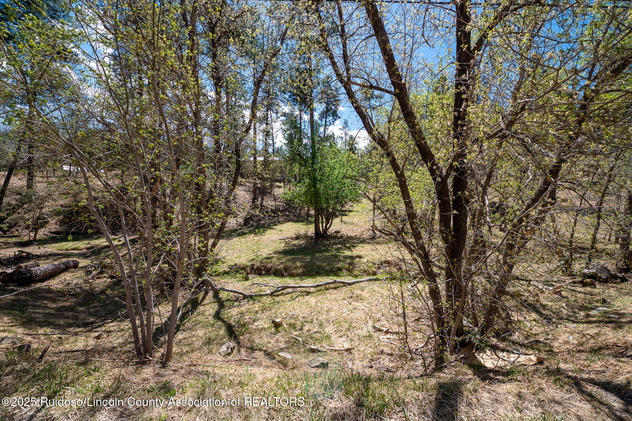 205 Flume Canyon Drive, Ruidoso, New Mexico image 4