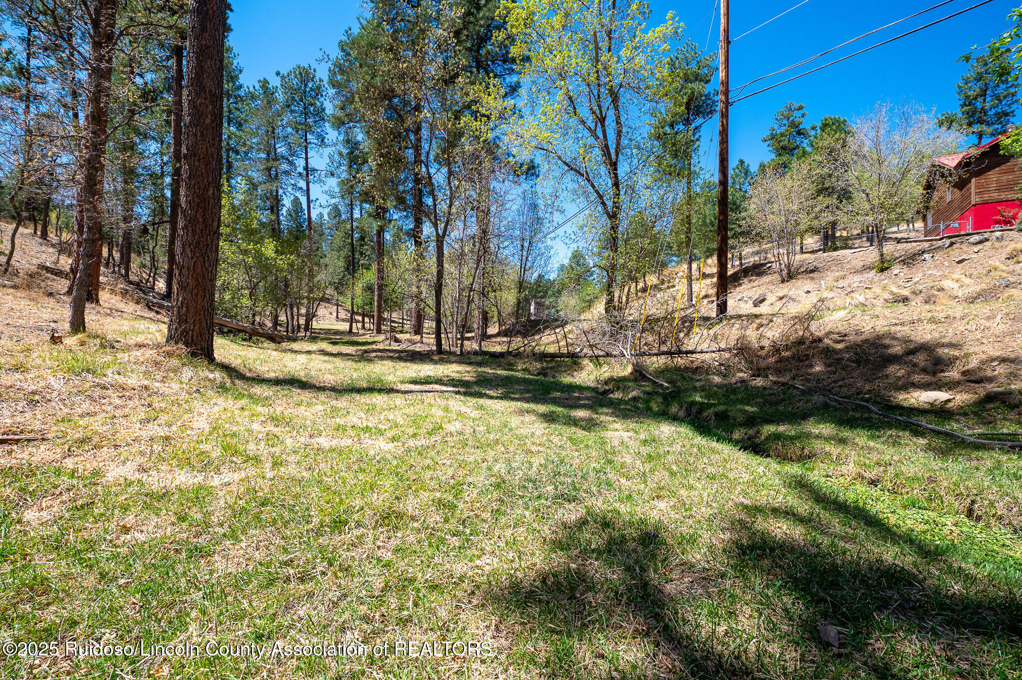 205 Flume Canyon Drive, Ruidoso, New Mexico image 1