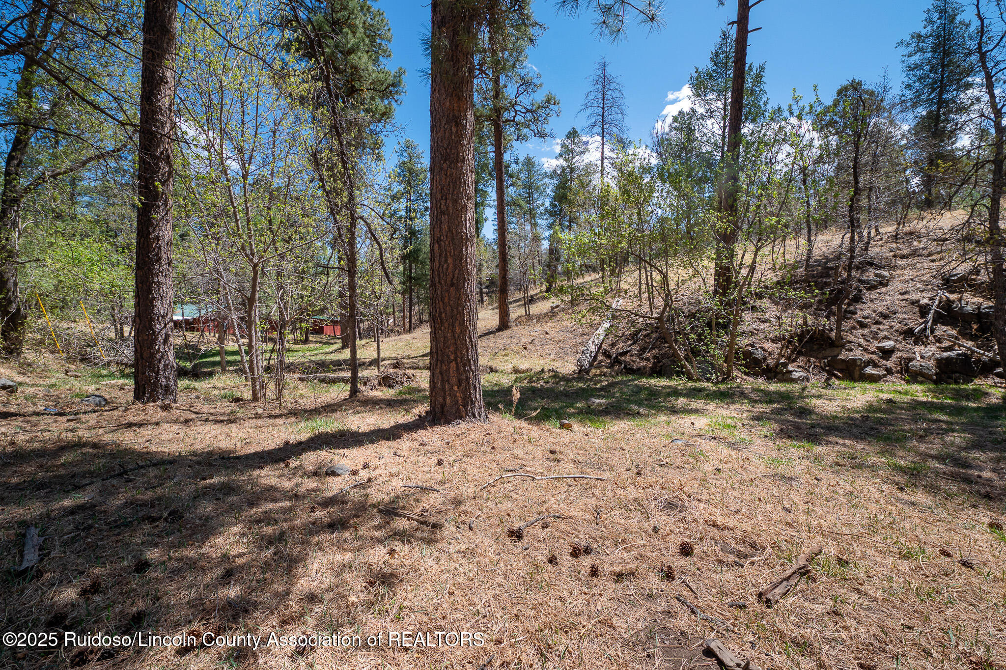 205 Flume Canyon Drive, Ruidoso, New Mexico image 13