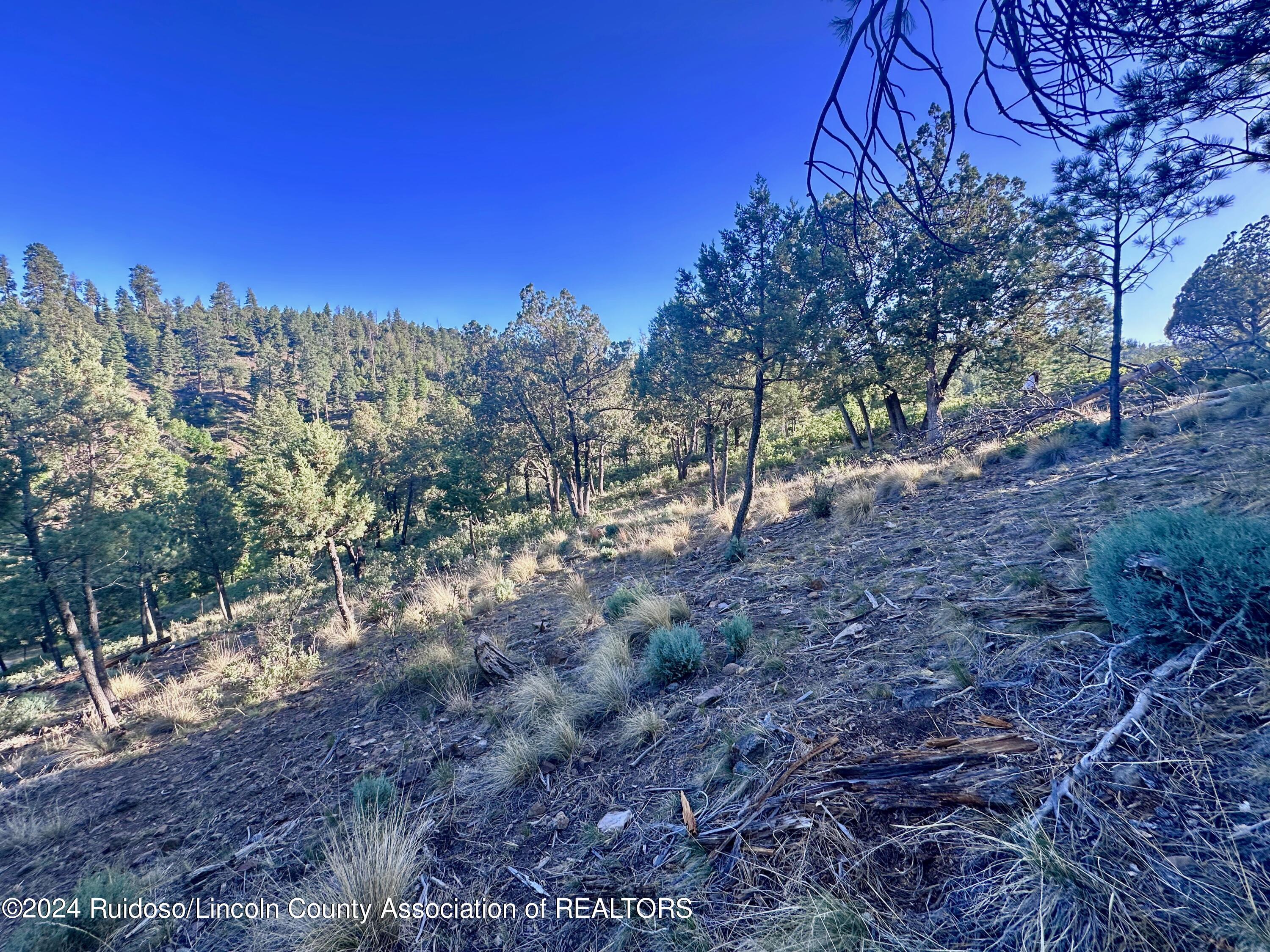 101 Ivanhoe Drive, Ruidoso, New Mexico image 12