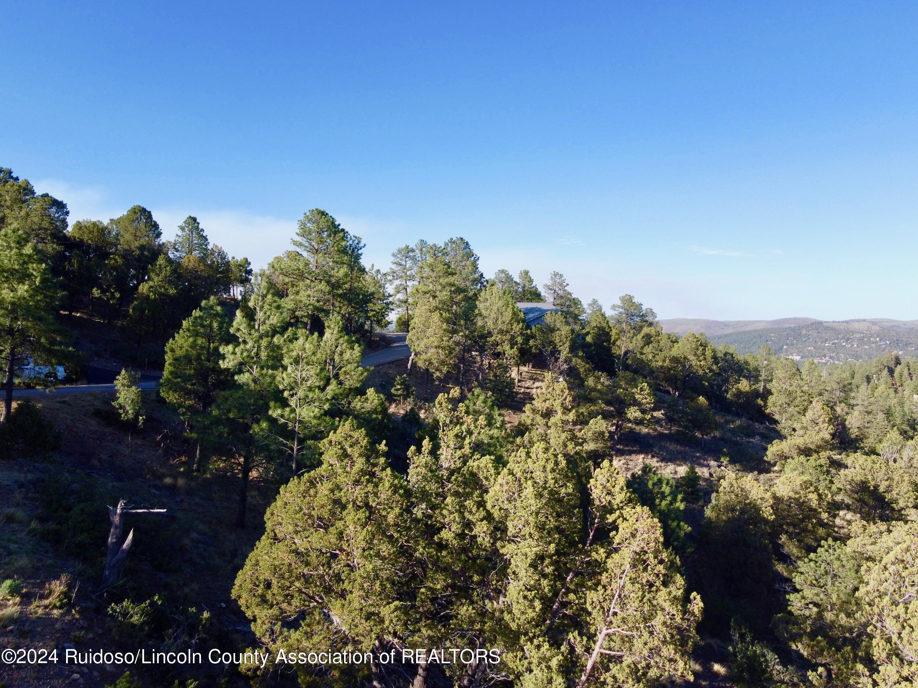 101 Ivanhoe Drive, Ruidoso, New Mexico image 16