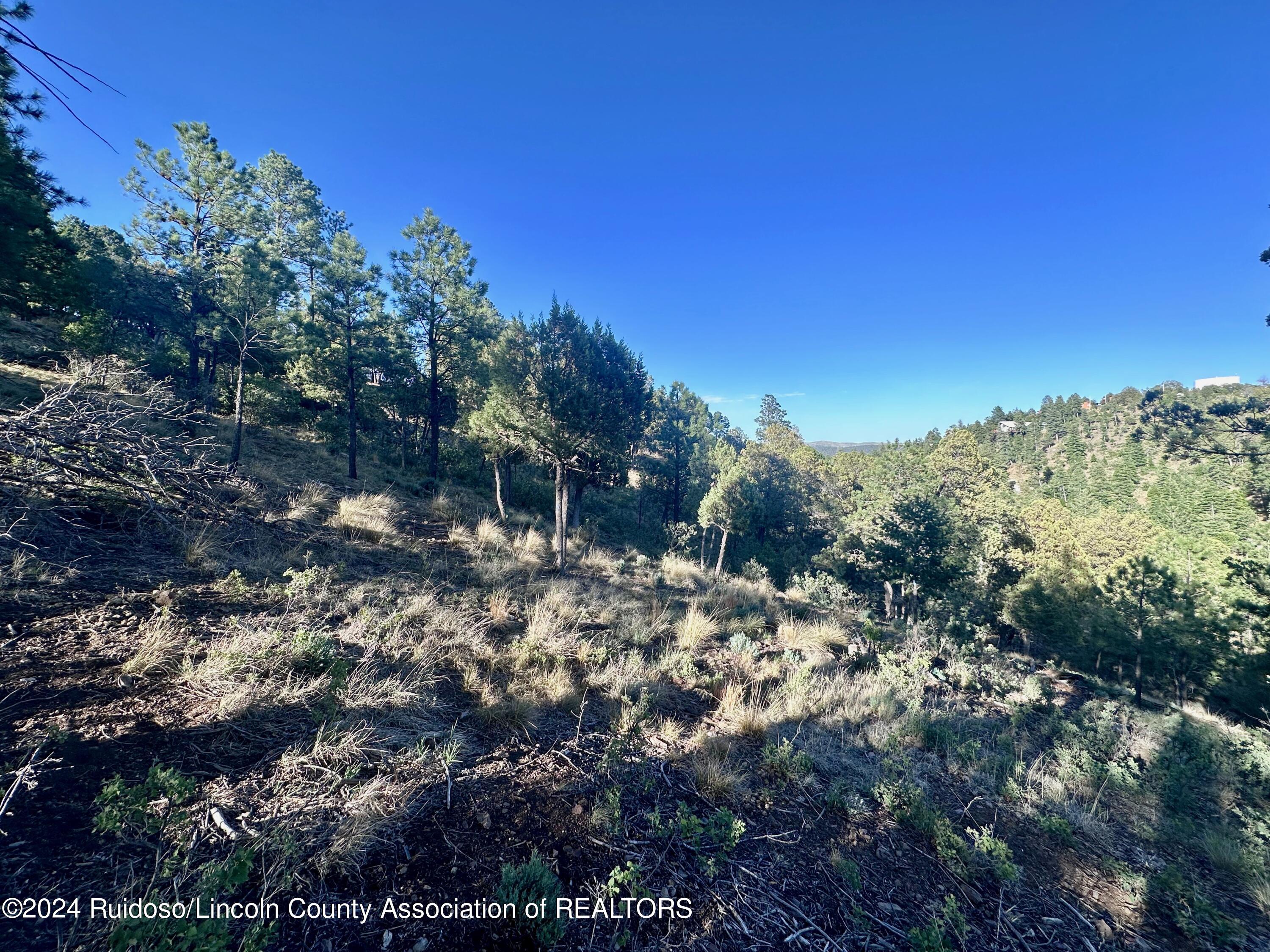 101 Ivanhoe Drive, Ruidoso, New Mexico image 11