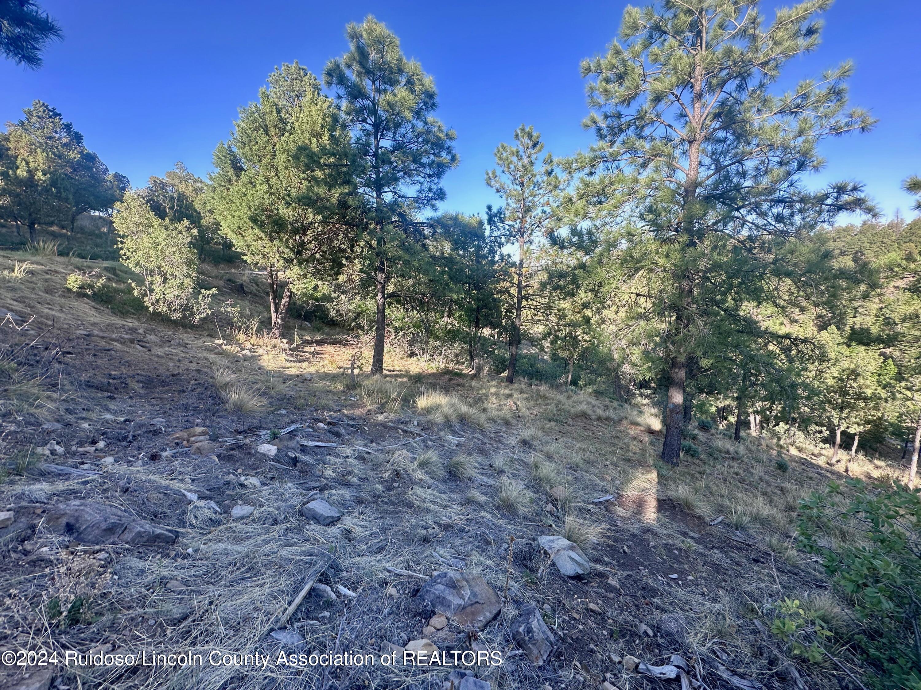 101 Ivanhoe Drive, Ruidoso, New Mexico image 2