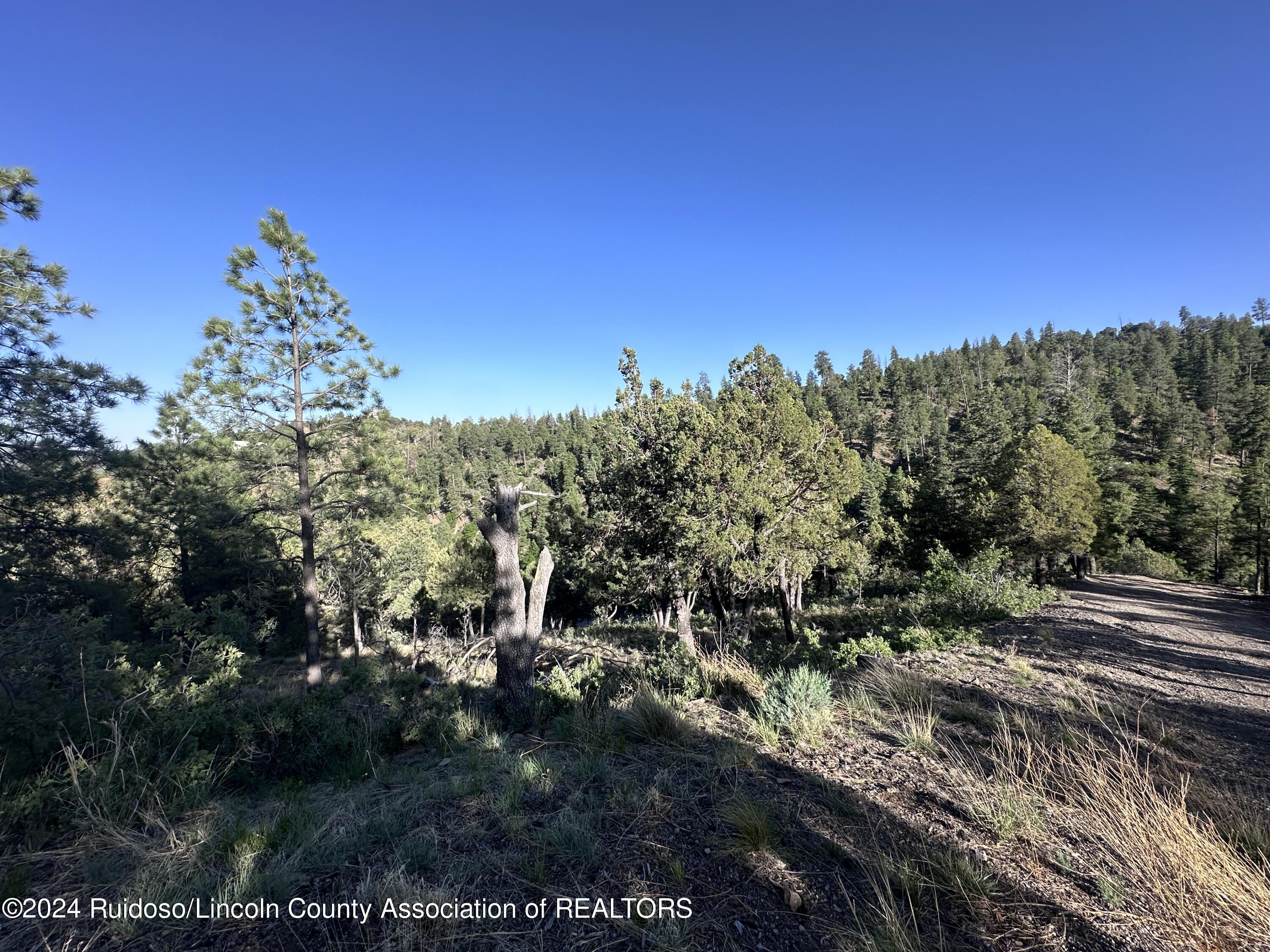 101 Ivanhoe Drive, Ruidoso, New Mexico image 9