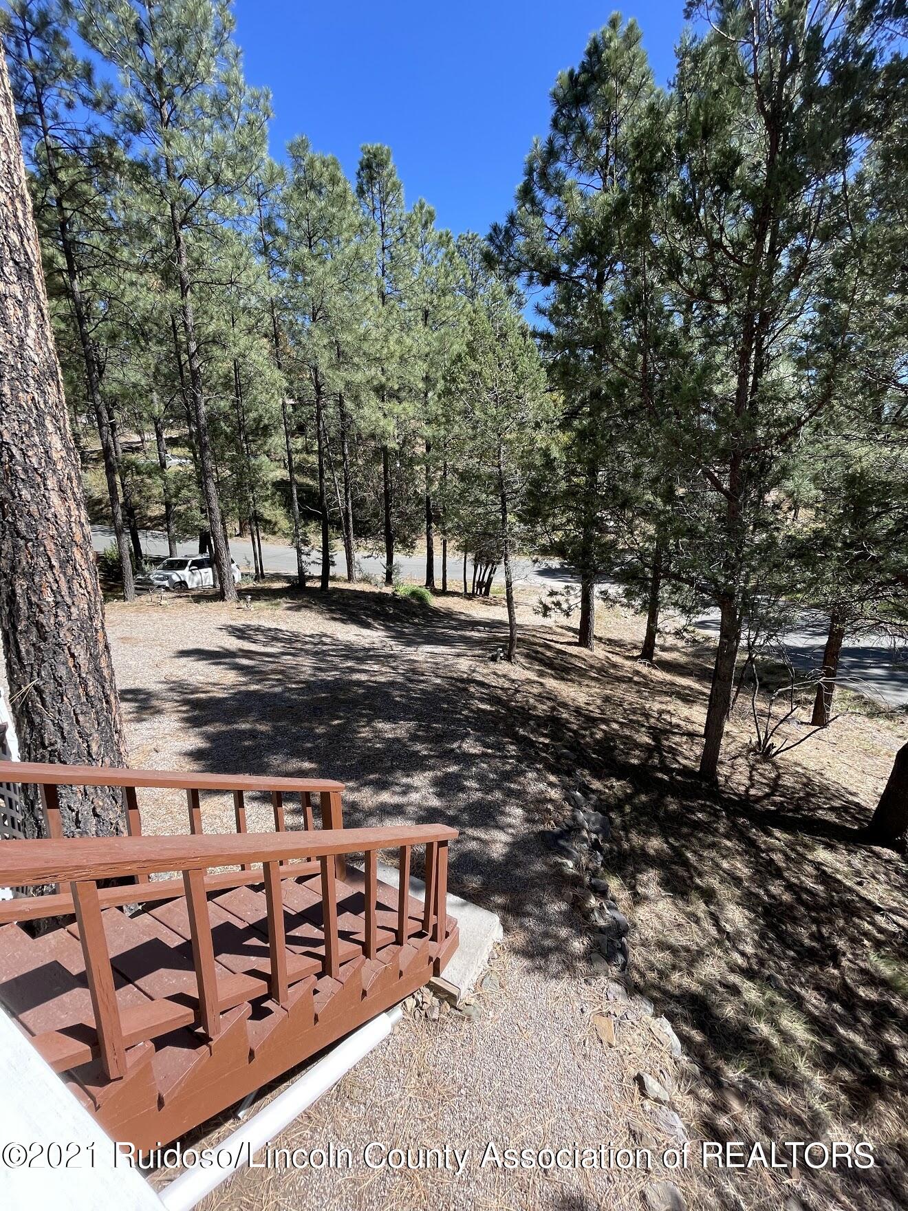 201 Mustang Drive, Ruidoso, New Mexico image 33