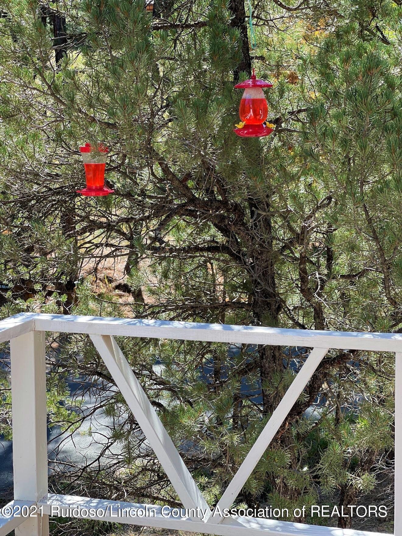 201 Mustang Drive, Ruidoso, New Mexico image 47