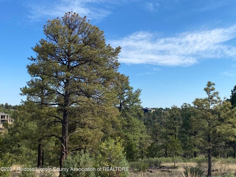 Homes For Sale - L12D Walter Hagan Drive<br/> Alto, NM 88312