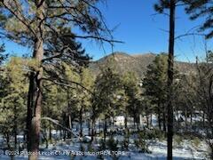 116 Dipaolo Drive, Ruidoso, New Mexico image 4