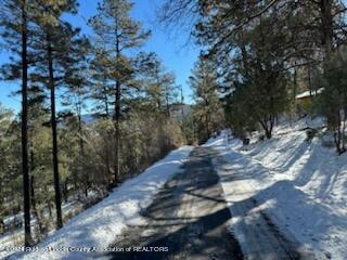 116 Dipaolo Drive, Ruidoso, New Mexico image 10