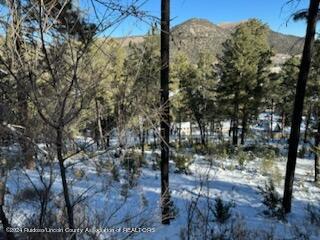 116 Dipaolo Drive, Ruidoso, New Mexico image 6