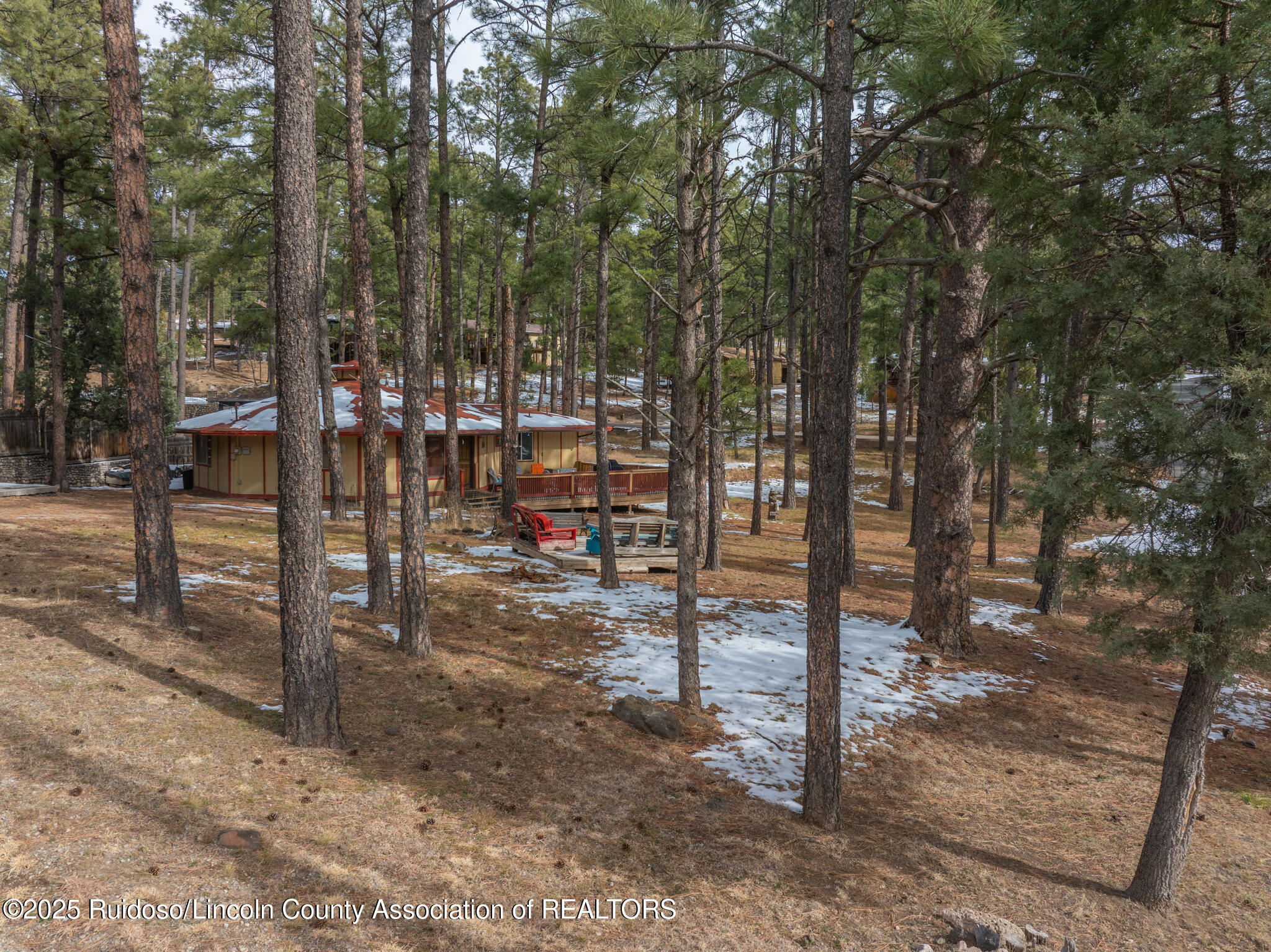 201 Morgan Drive, Ruidoso, New Mexico image 37