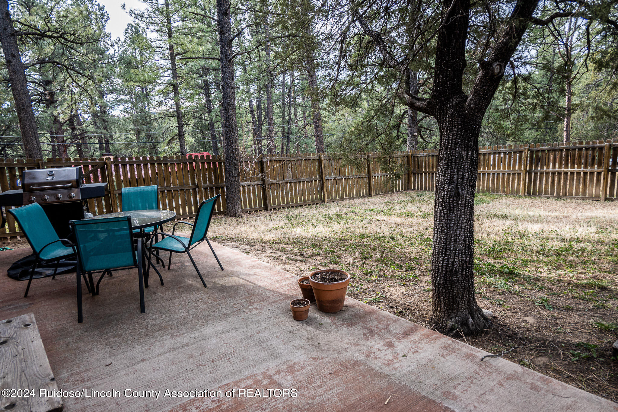 105 Lower Terrace Drive, Ruidoso, New Mexico image 6