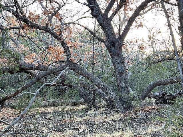 Lot 319 Santiago Circle, Alto, New Mexico image 6