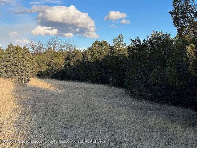 Lot 319 Santiago Circle, Alto, New Mexico image 2