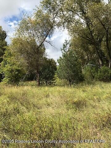 Lot 319 Santiago Circle, Alto, New Mexico image 11