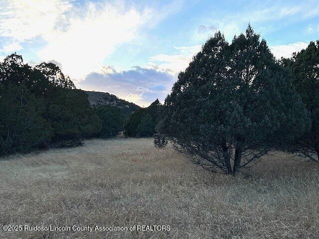 Lot 319 Santiago Circle, Alto, New Mexico image 7