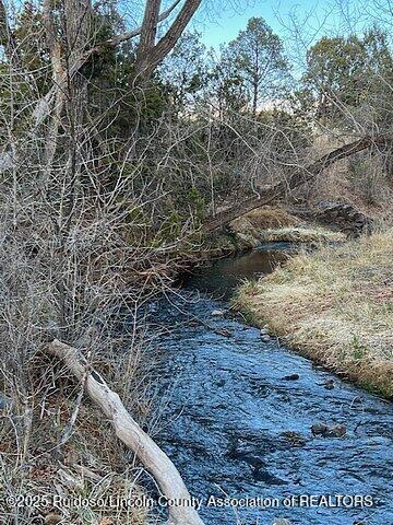 Lot 319 Santiago Circle, Alto, New Mexico image 4