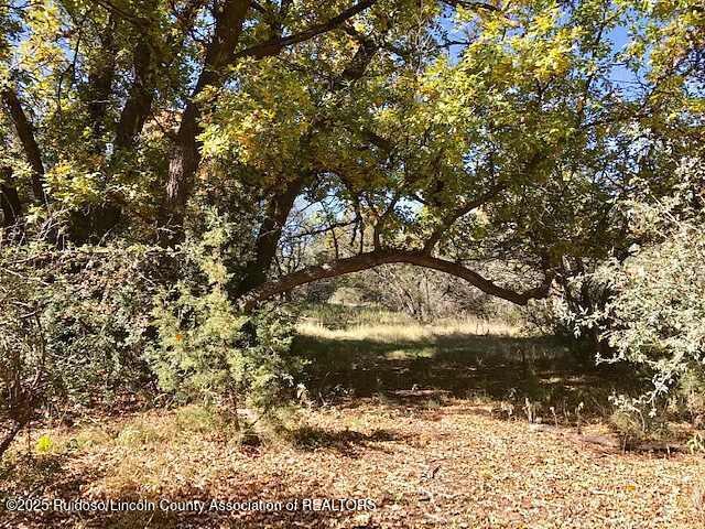 Lot 319 Santiago Circle, Alto, New Mexico image 13