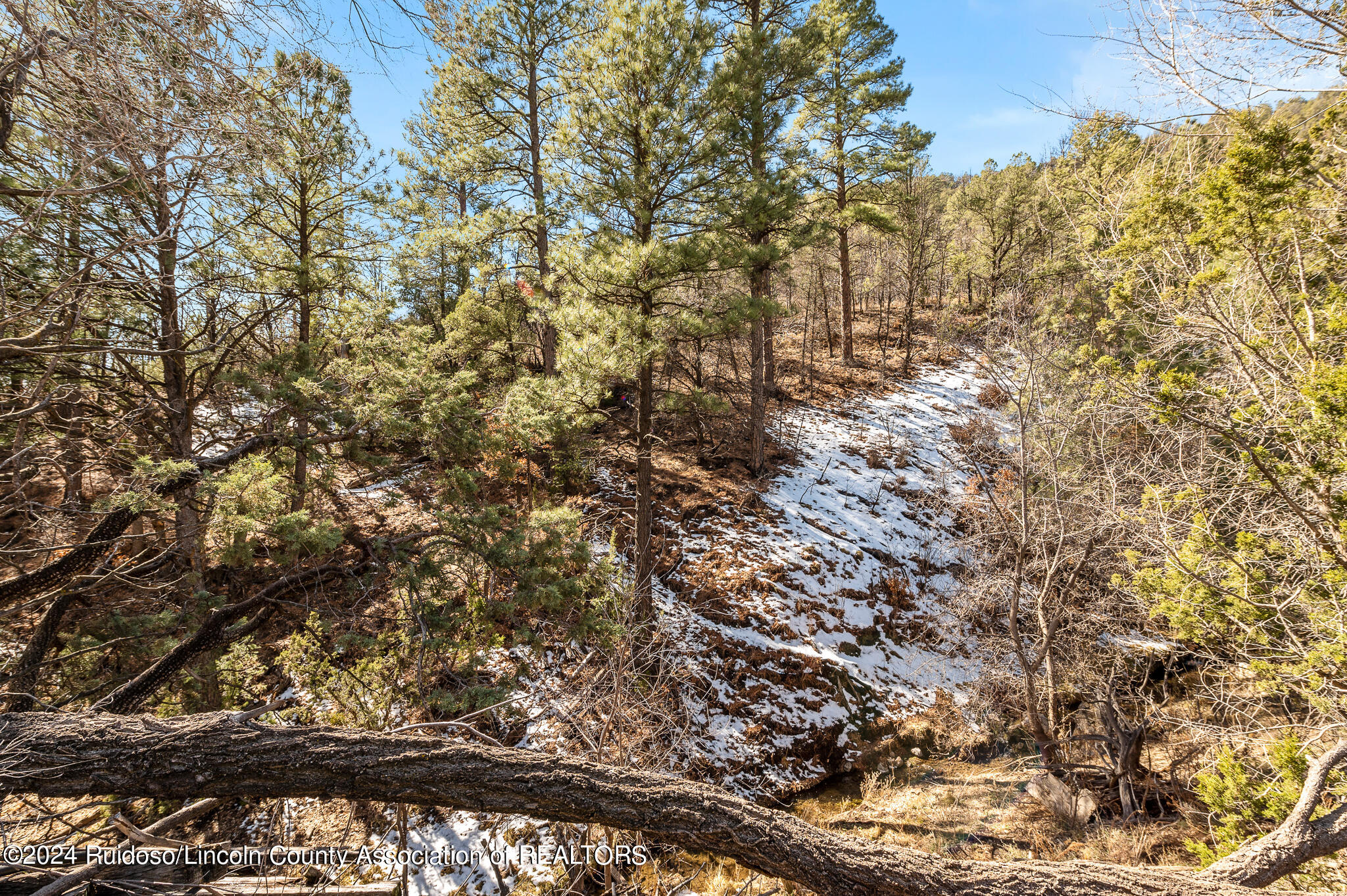 365 Gavilan Canyon Road, Ruidoso, New Mexico image 15