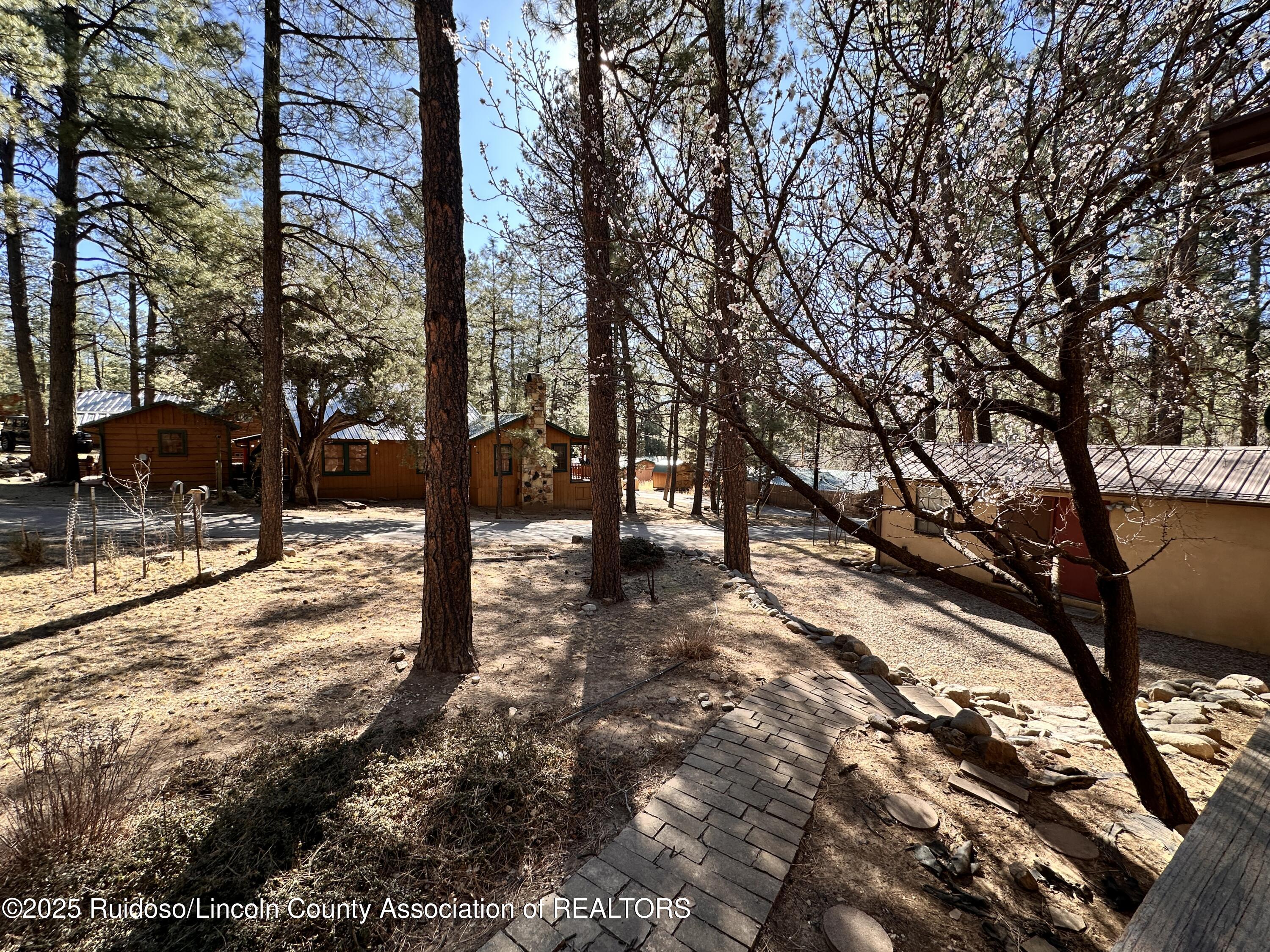 123 Rose Avenue, Ruidoso, New Mexico image 18