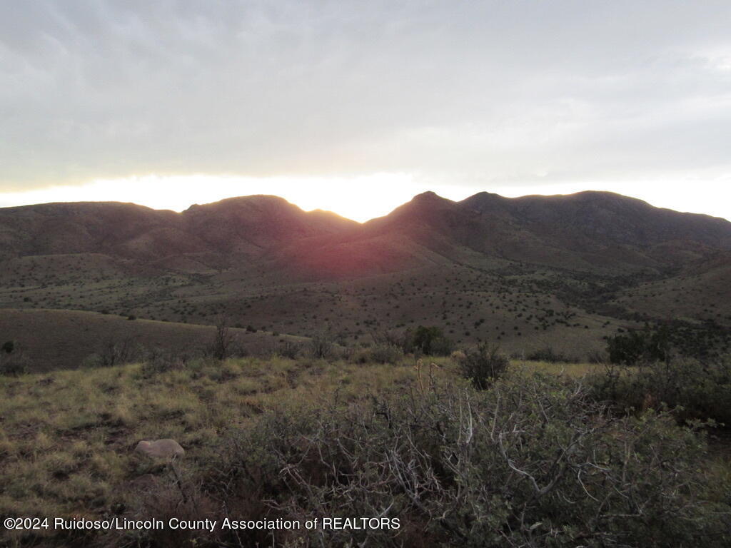 435 Sawmill Canyon Road, San Antonio, New Mexico image 50