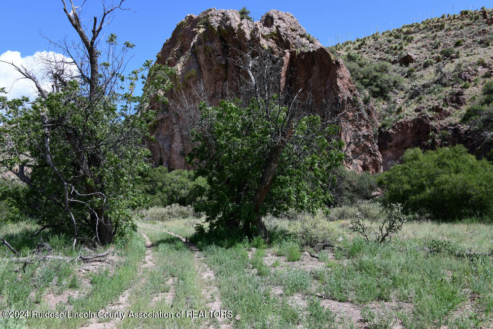 435 Sawmill Canyon Road, San Antonio, New Mexico image 33