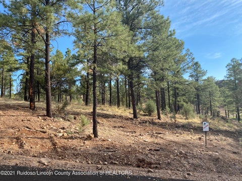 Vacant Land For Sale - L19D Gene Sarrasin Court<br/> Lincoln County, Alto, NM 88312