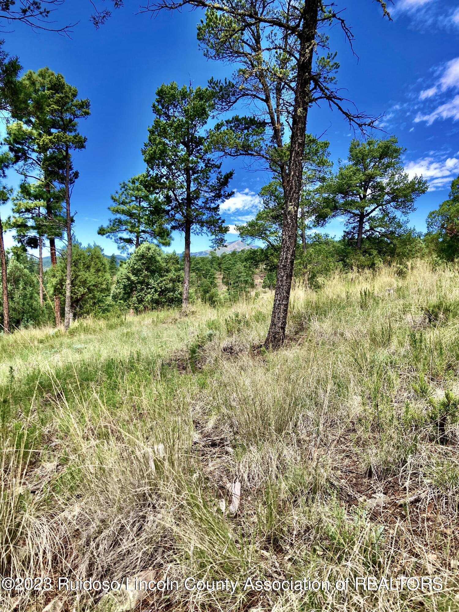 205 Hidalgo Street, Ruidoso, New Mexico image 6