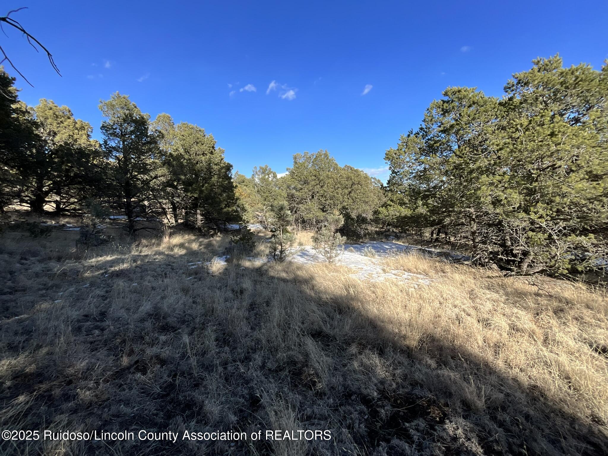 Lt 36 Blk3 Sulkey Court #3, Nogal, New Mexico image 10