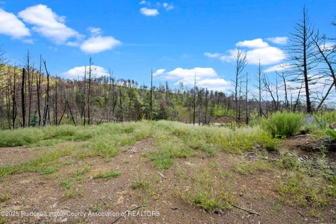 Vacant Land For Sale - 111 Tall Pines Road<br/> Lincoln County, Ruidoso, NM 88345