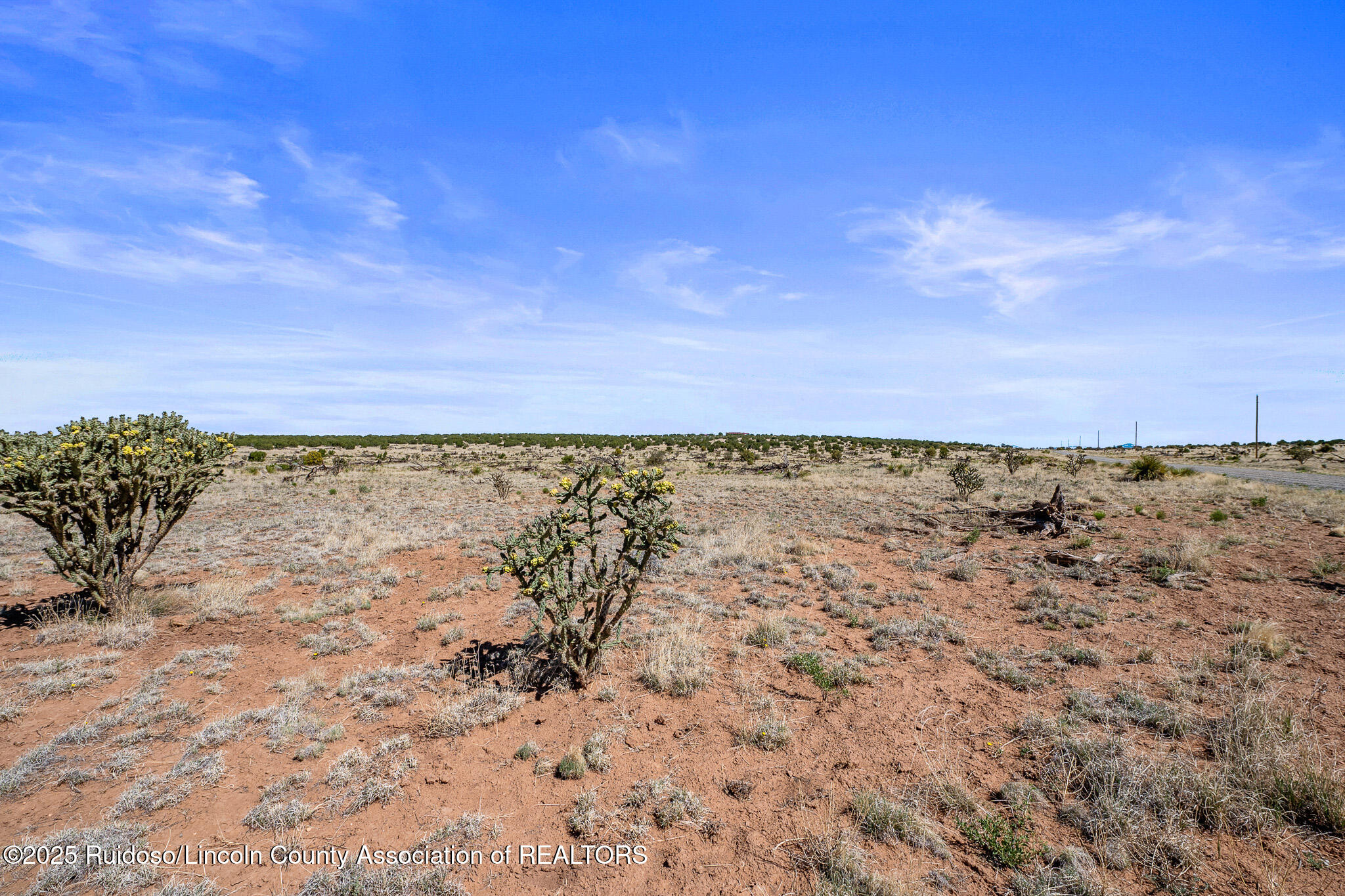 L313 Windmill Ranches, Ancho, New Mexico image 18