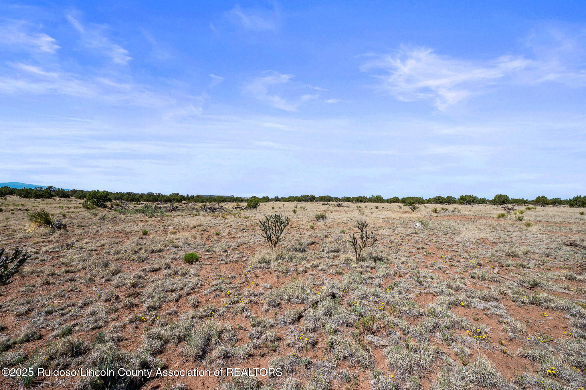L313 Windmill Ranches, Ancho, New Mexico image 12