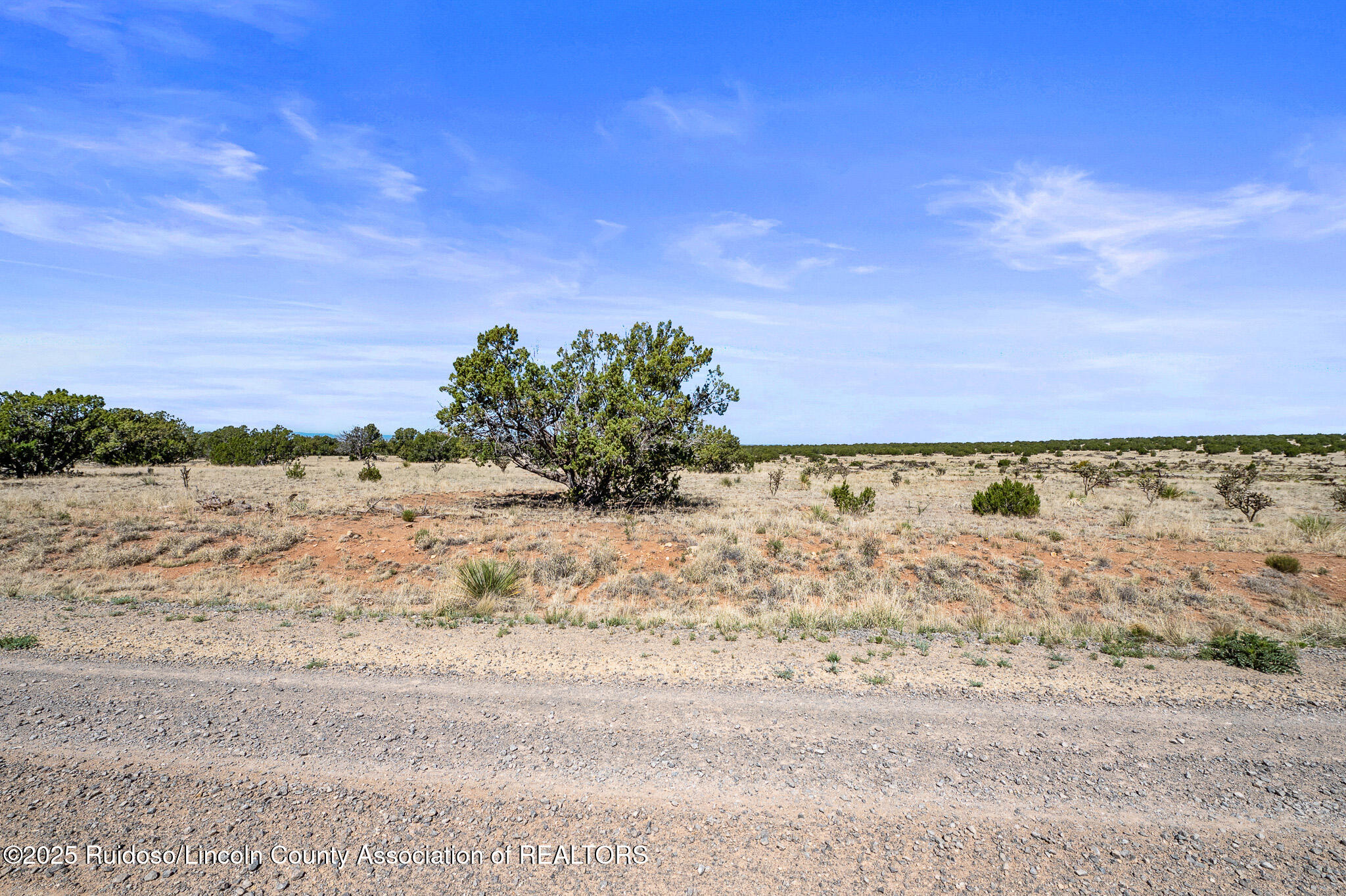 L313 Windmill Ranches, Ancho, New Mexico image 21