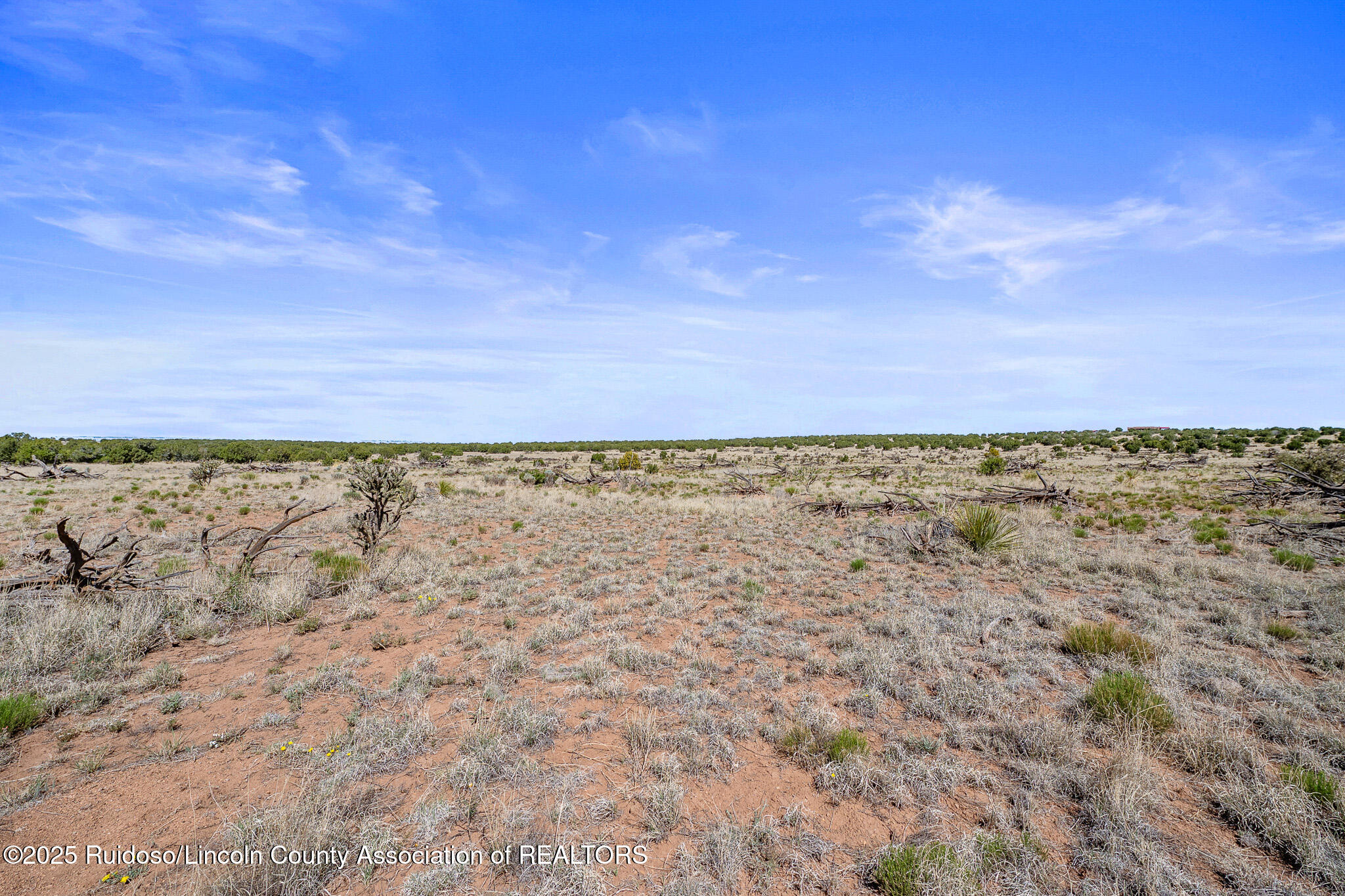 L313 Windmill Ranches, Ancho, New Mexico image 17