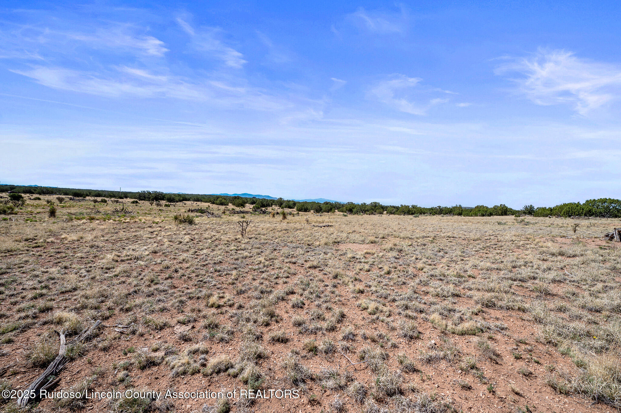 L313 Windmill Ranches, Ancho, New Mexico image 10