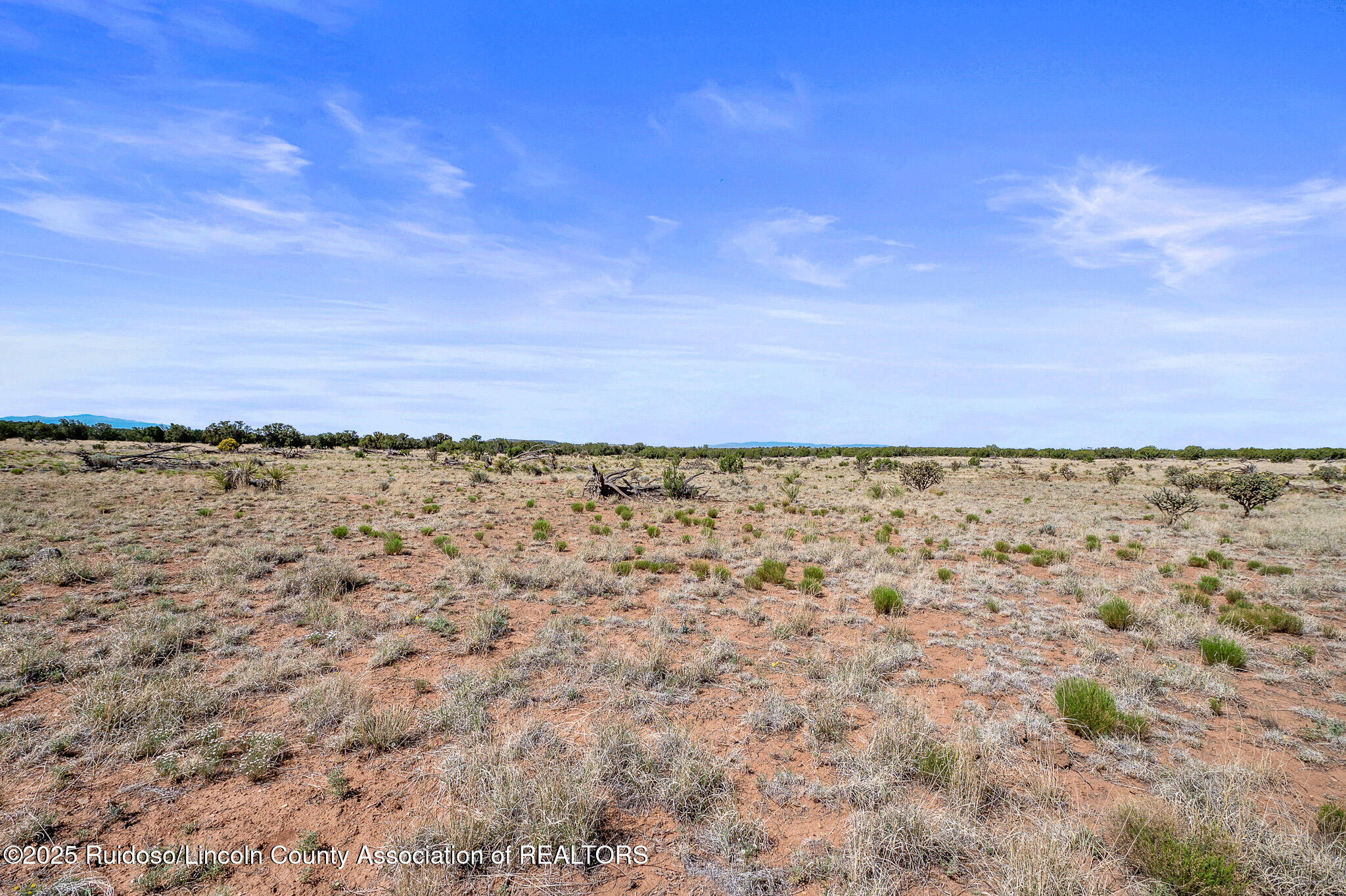 L313 Windmill Ranches, Ancho, New Mexico image 14