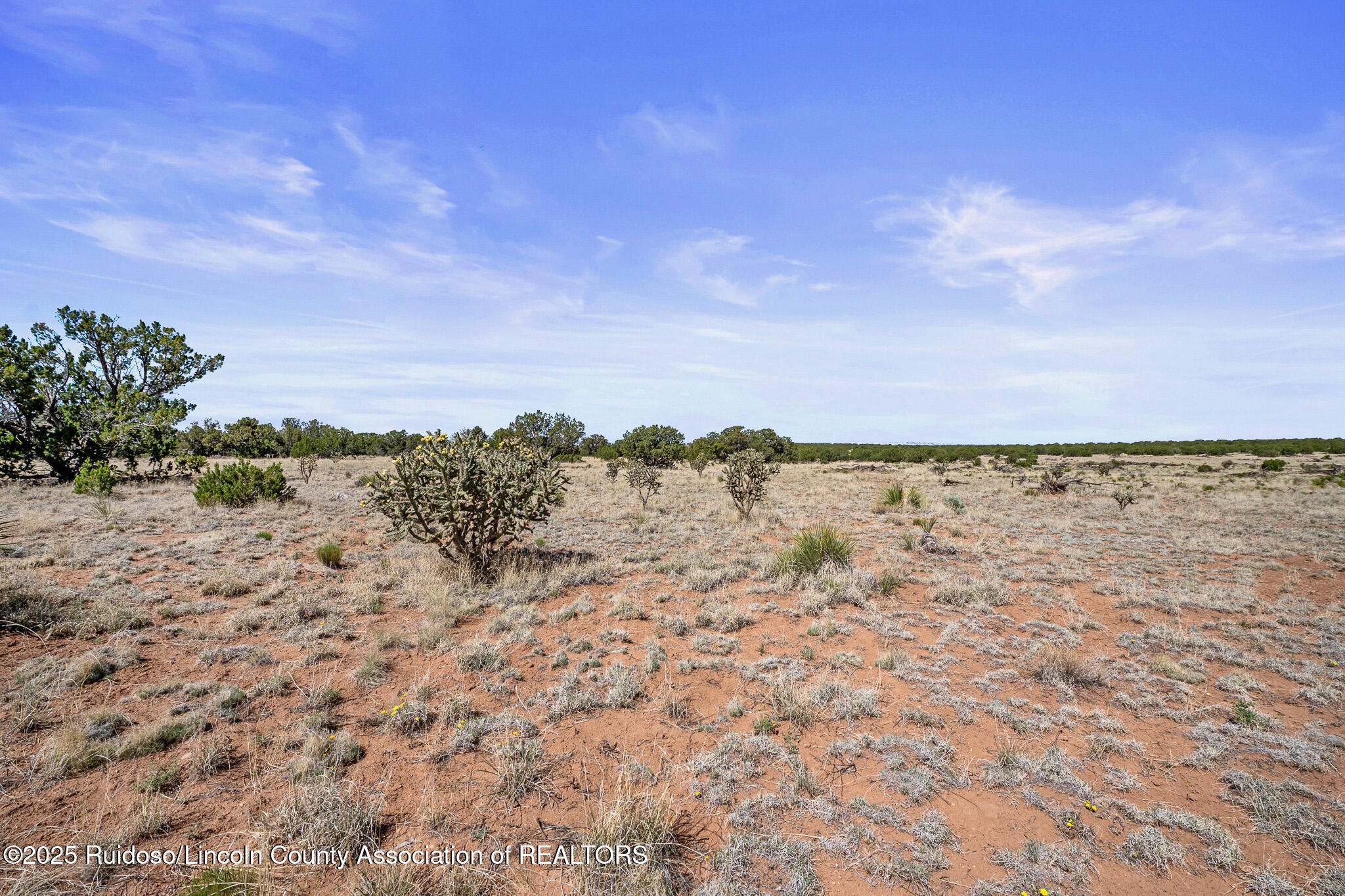 L313 Windmill Ranches, Ancho, New Mexico image 19