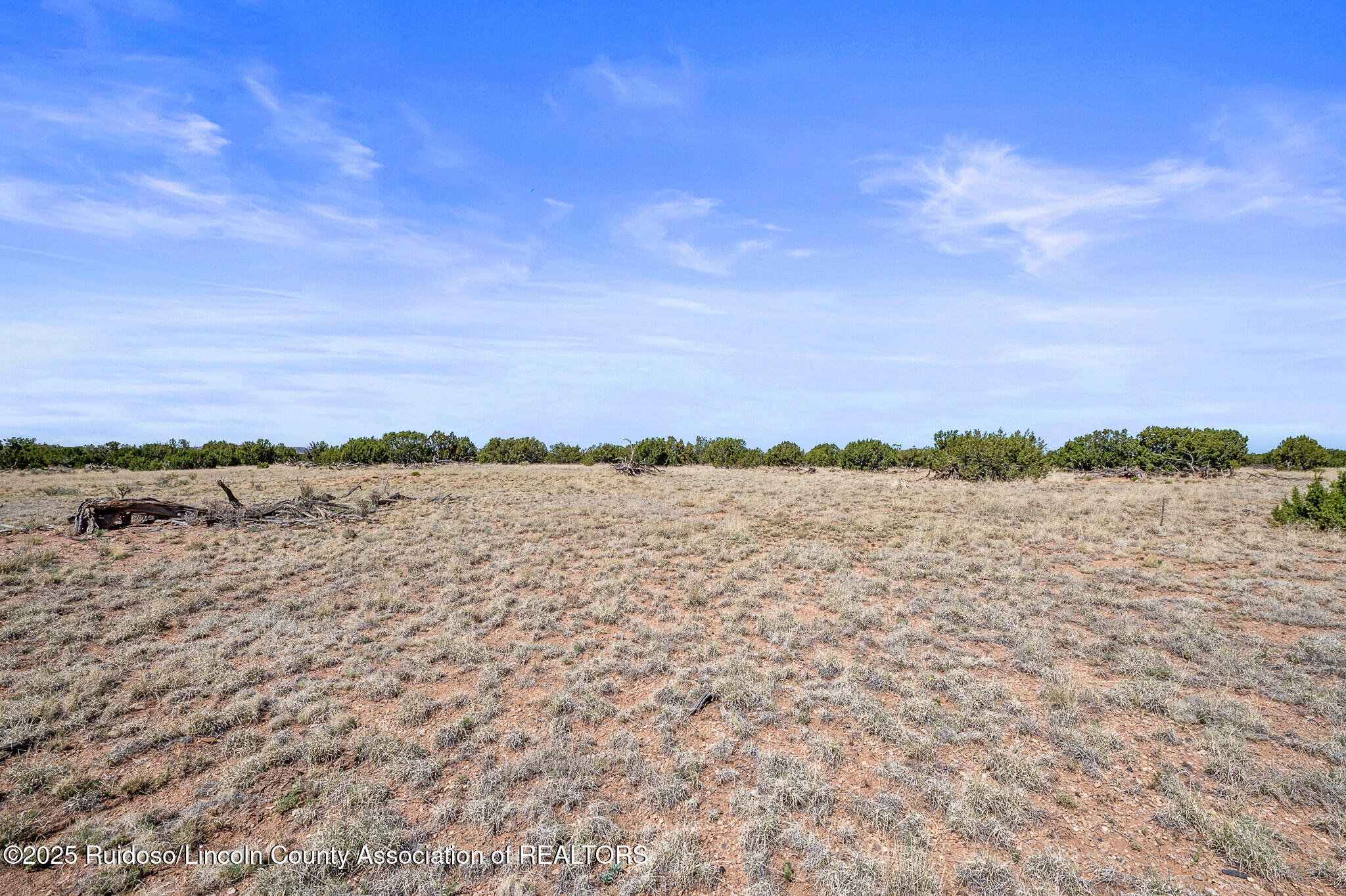 L313 Windmill Ranches, Ancho, New Mexico image 9