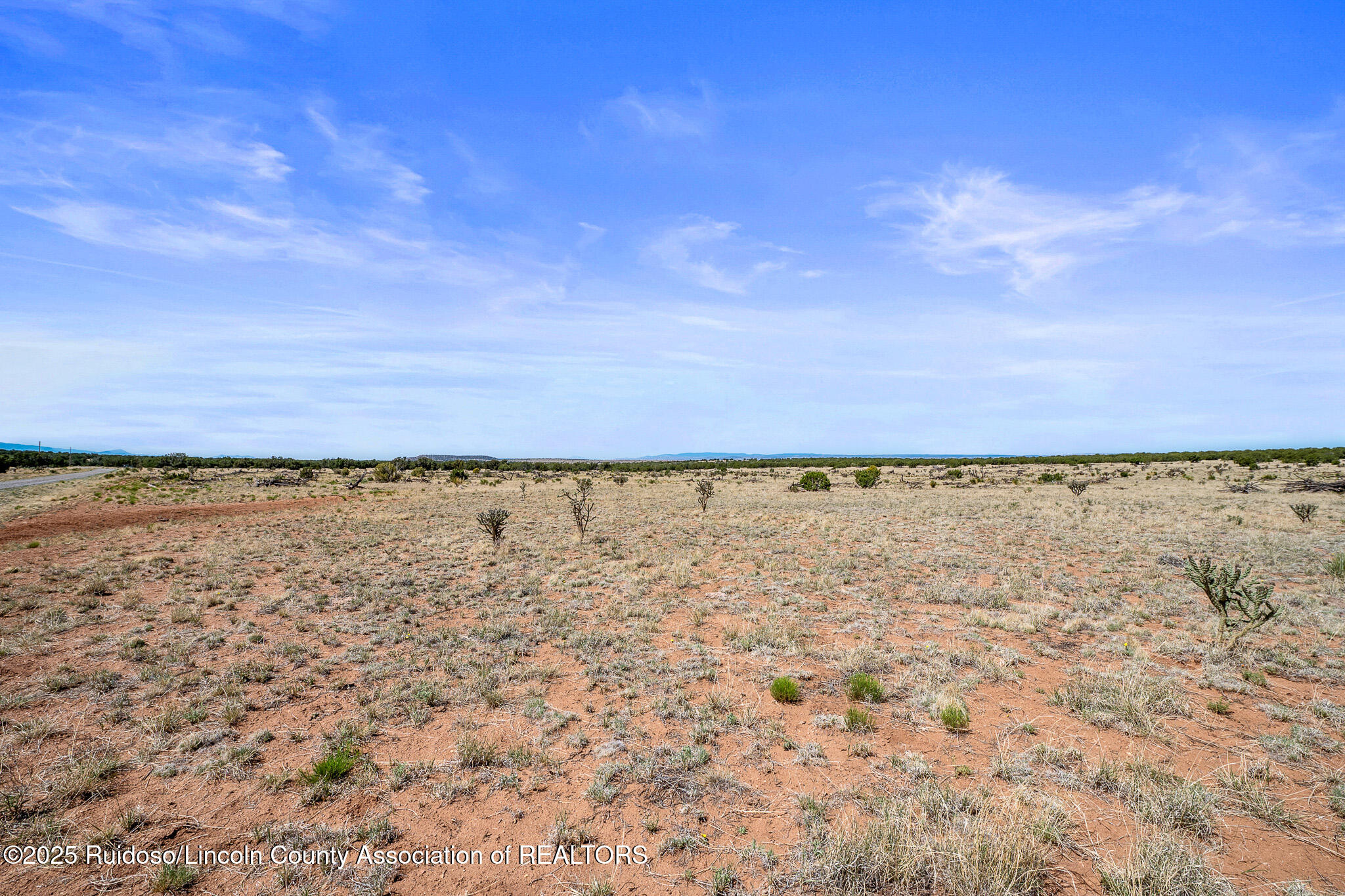 L313 Windmill Ranches, Ancho, New Mexico image 1