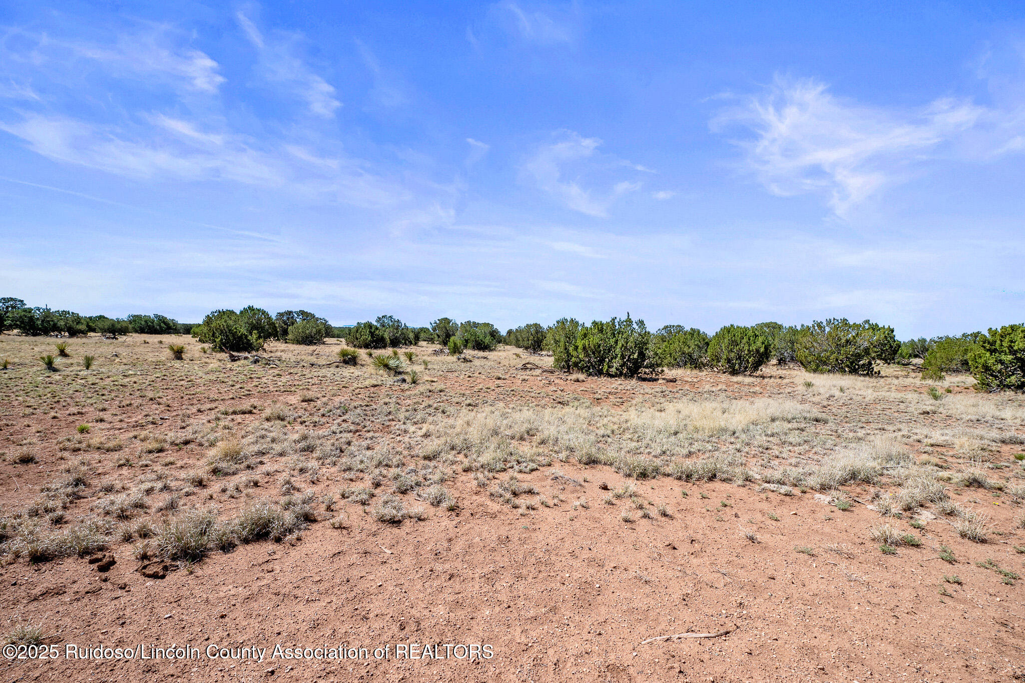L313 Windmill Ranches, Ancho, New Mexico image 4