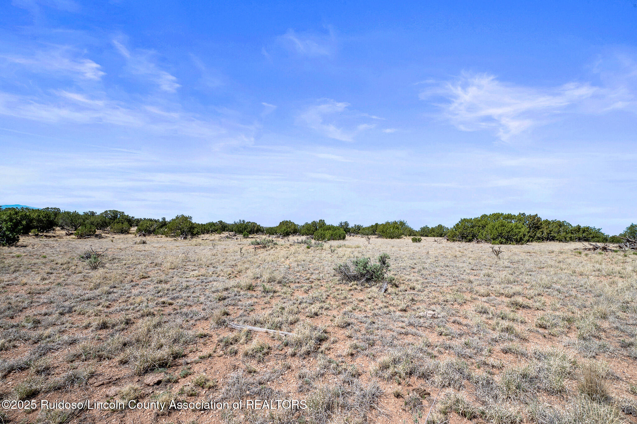 L313 Windmill Ranches, Ancho, New Mexico image 6