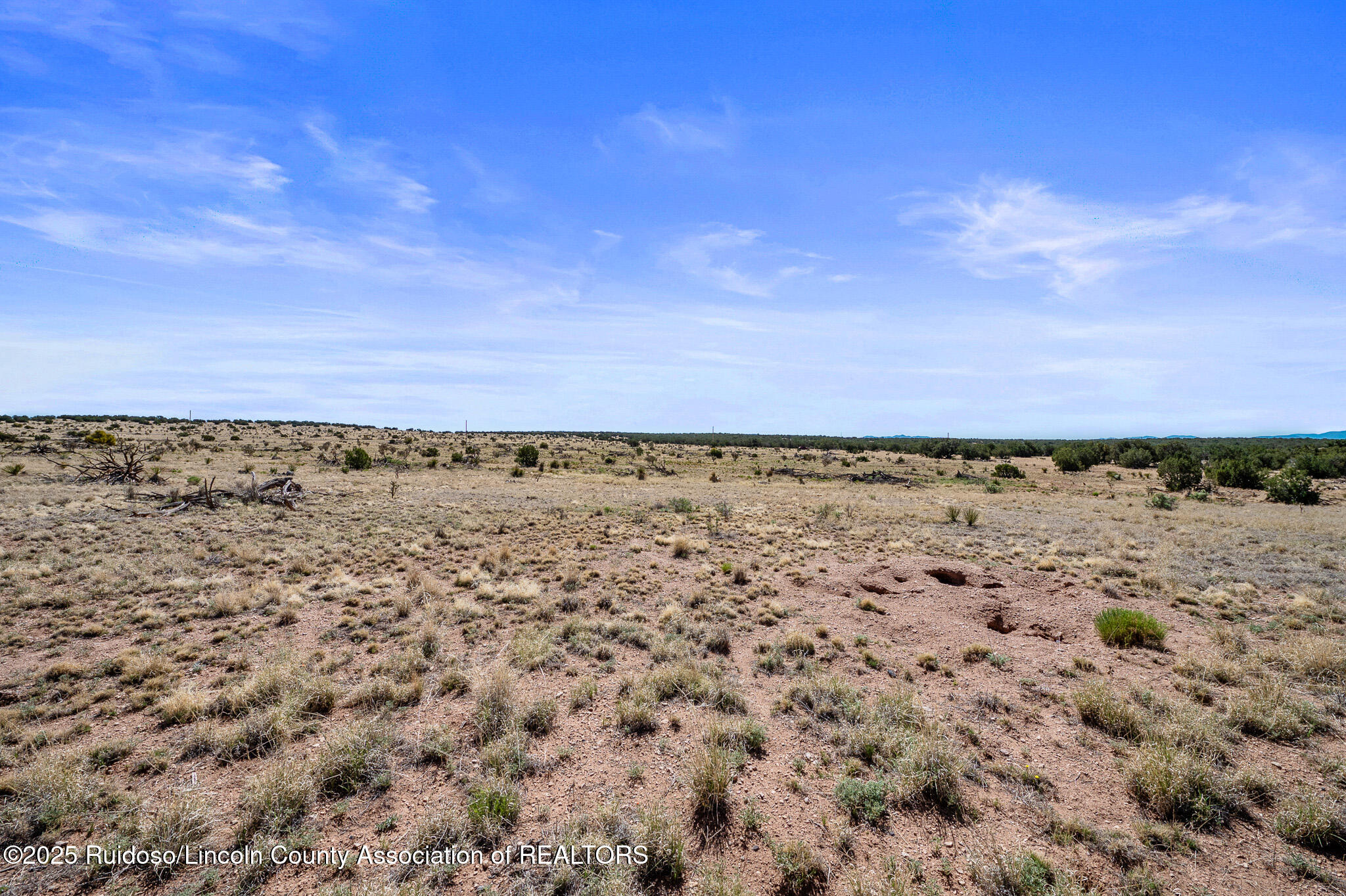 L313 Windmill Ranches, Ancho, New Mexico image 8
