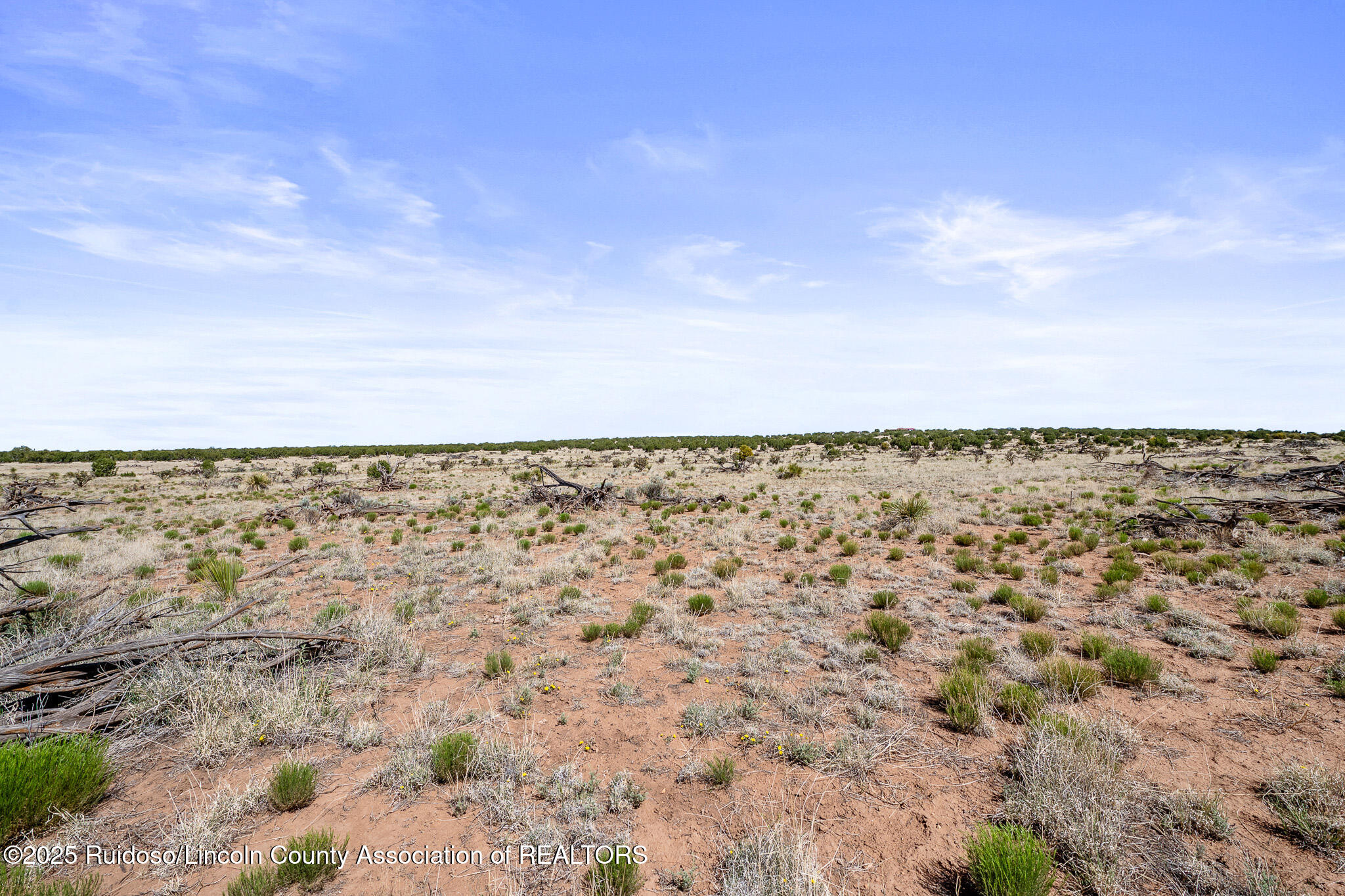 L313 Windmill Ranches, Ancho, New Mexico image 15